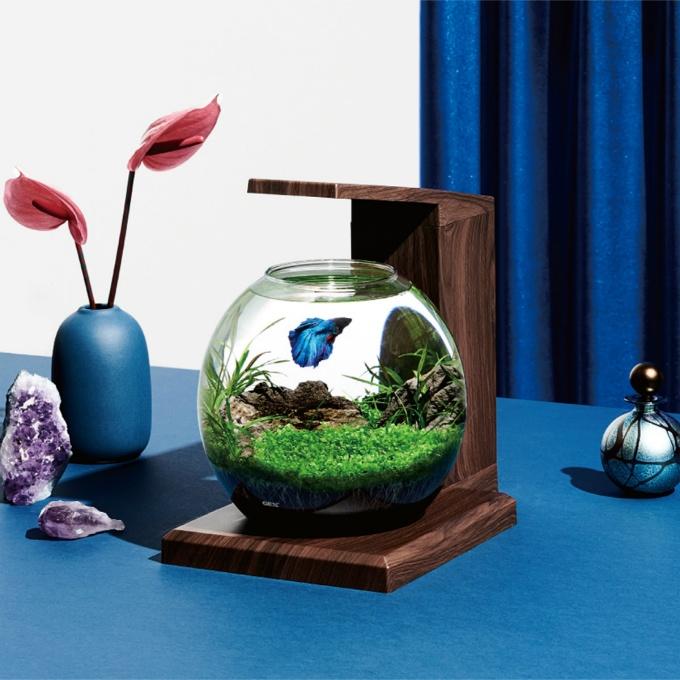 ジェックス GEX 熱帯魚用品 グラスアクア PERCO B-DW GEX4303 【返品不可】【ご自宅配送限定】‥の画像