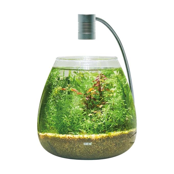 GEX（ジェックス） 熱帯魚用品 MG水草付きGアクア ティアセット