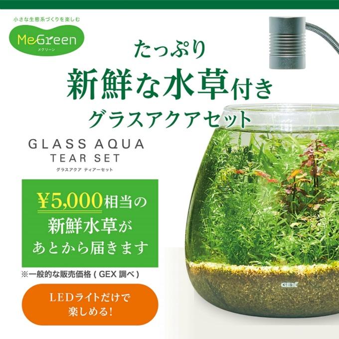 GEX（ジェックス） 熱帯魚用品 MG水草付きGアクア ティアセット