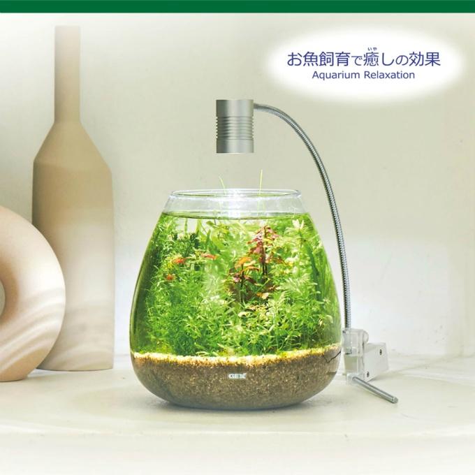 熱帯魚飼育用品 GEX（ジェックス） 熱帯魚用品 MG水草付きGアクア ティアセット