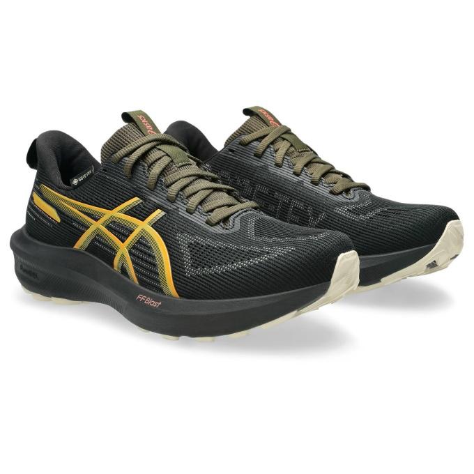ASICS（アシックス） トレイルランニングシューズ レディース GT-1000