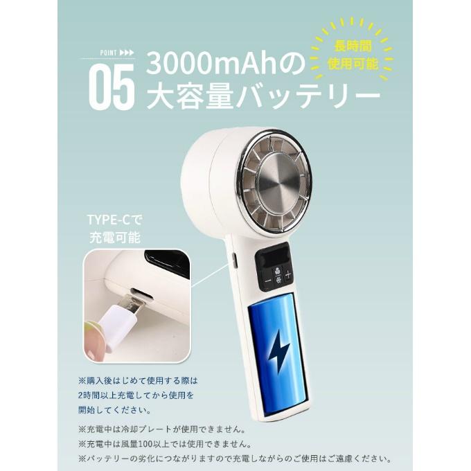 送料無料】 リズデイズ LIZDAYS 199段階冷却プレート付きハンディ