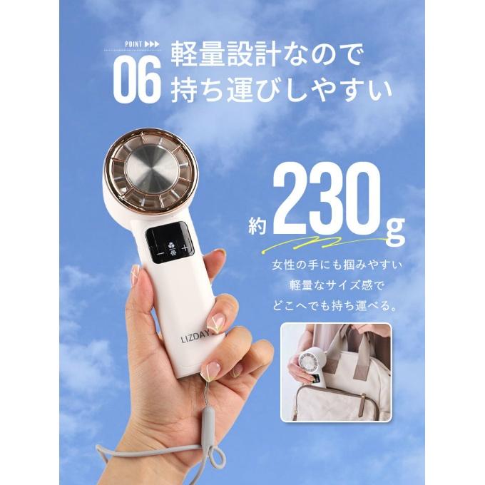 送料無料】 リズデイズ LIZDAYS 199段階冷却プレート付きハンディ