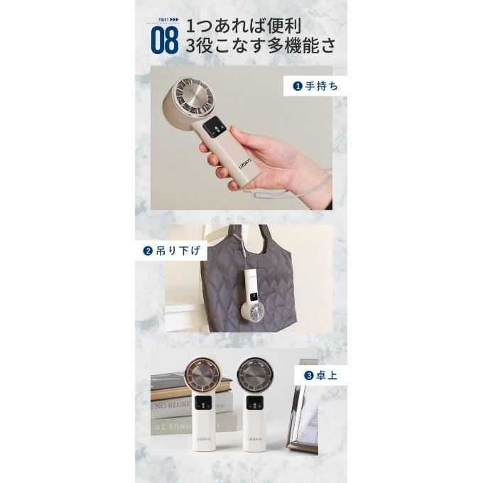 送料無料】 リズデイズ LIZDAYS 199段階冷却プレート付きハンディ