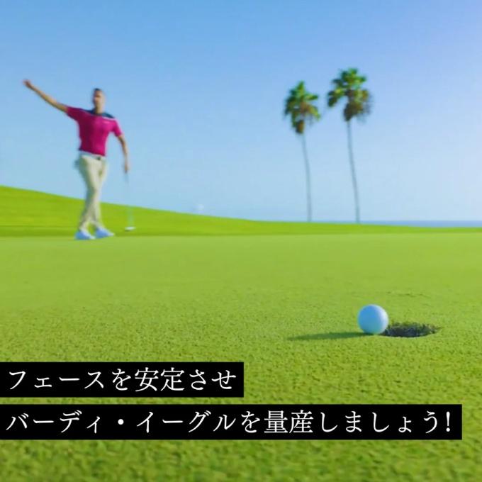 パットアウト(PuttOUT) ゴルフ トレーニング用品 デビルボール