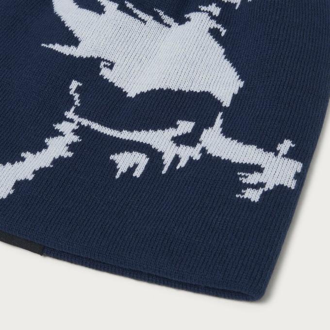 OAKLEY（オークリー） ゴルフ ニット帽 メンズ SKULL BEANIE FA 25.0