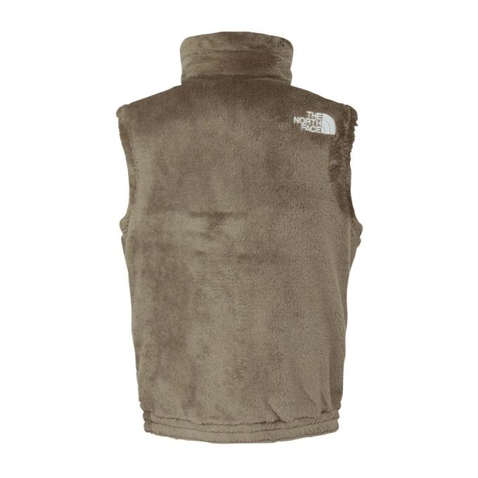 【新品未使用品】 ノースフェイス　フリースベスト　完売商品 THE NORTH FACE ザ・ノース・フェイス(THE FACE) フリース