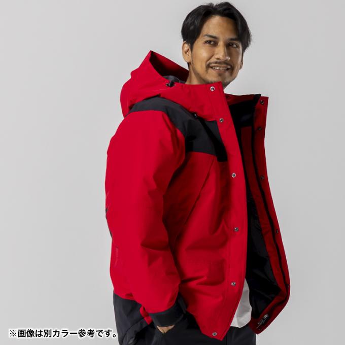 THE NORTH FACE（ザ ノースフェイス） ダウンジャケット メンズ