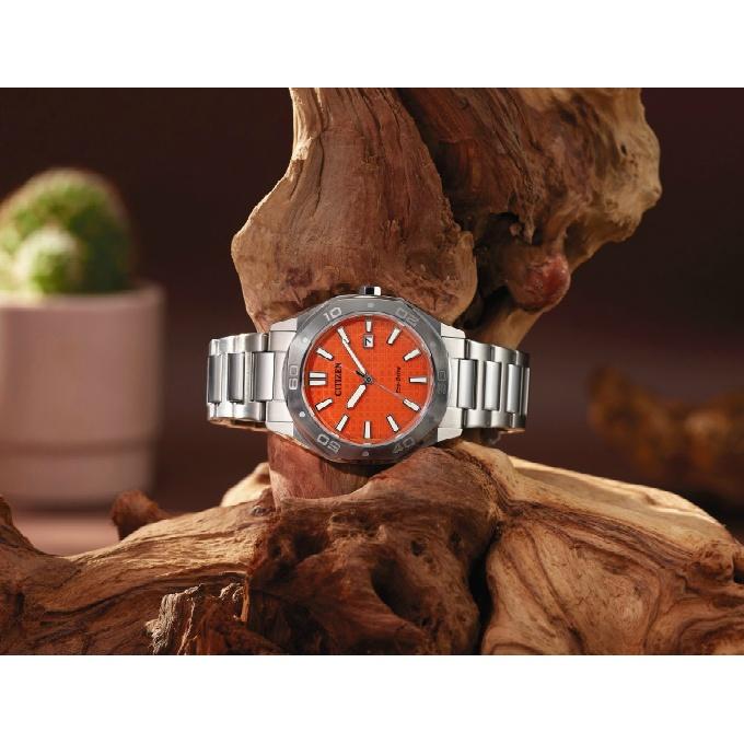 CITIZEN（シチズン） 国内正規販売店 海外限定モデル 日本未発売