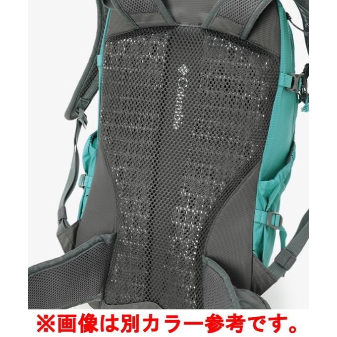Columbia（コロンビア） バックパック メンズ レディース ティンバー