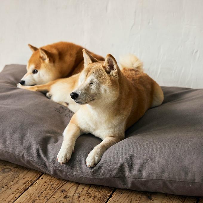 マンダリンブラザーズ(MANDARINE BROTHERS) 犬用 ベッド コージーベッド COZY BED 5508 【ご自宅配送限定】‥の画像