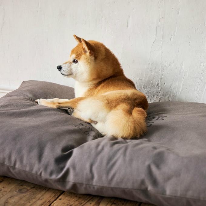 マンダリンブラザーズ(MANDARINE BROTHERS) 犬用 ベッド コージーベッド COZY BED 5508 【ご自宅配送限定】‥の画像