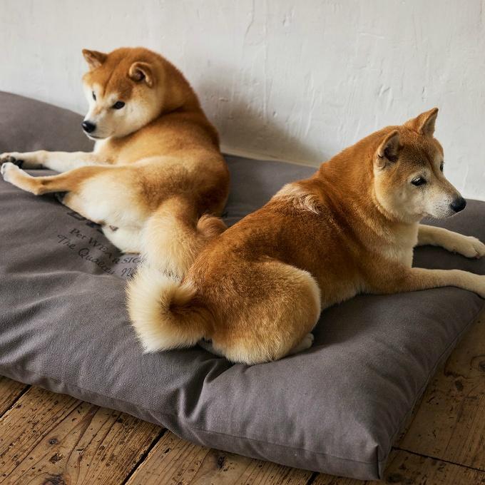 マンダリンブラザーズ(MANDARINE BROTHERS) 犬用 ベッド コージーベッド COZY BED 5508 【ご自宅配送限定】‥の画像