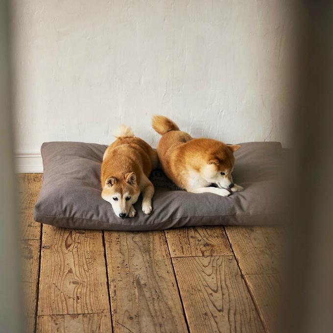 マンダリンブラザーズ(MANDARINE BROTHERS) 犬用 ベッド コージーベッド COZY BED 5508 【ご自宅配送限定】‥の画像