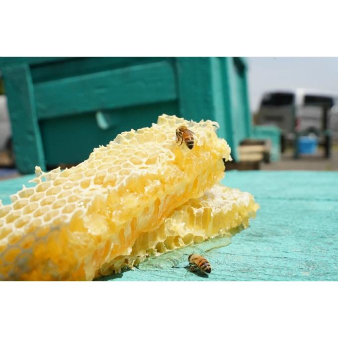 金市商店 食品 蜂蜜110g×4個ギフトセット TO0092 【ご自宅配送限定