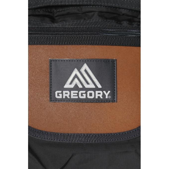 グレゴリー(GREGORY) バックパック メンズ レディース ディッチデイ 26 1556971041の画像