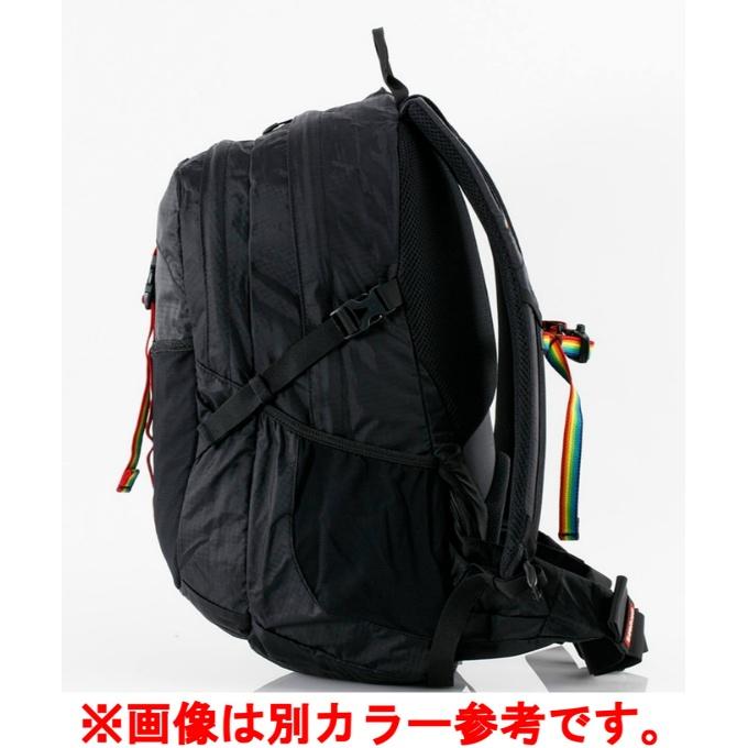 チャムス(CHUMS) バックパック メンズ レディース スプリングデール25 CH60-3997-GRAY/TURQUOISE_1