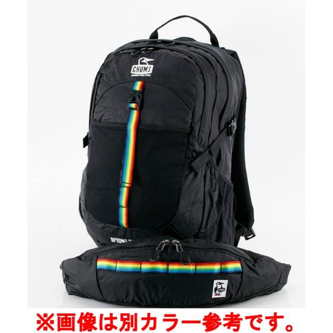 チャムス(CHUMS) バックパック メンズ レディース スプリングデール25 CH60-3997-GRAY/TURQUOISE_4