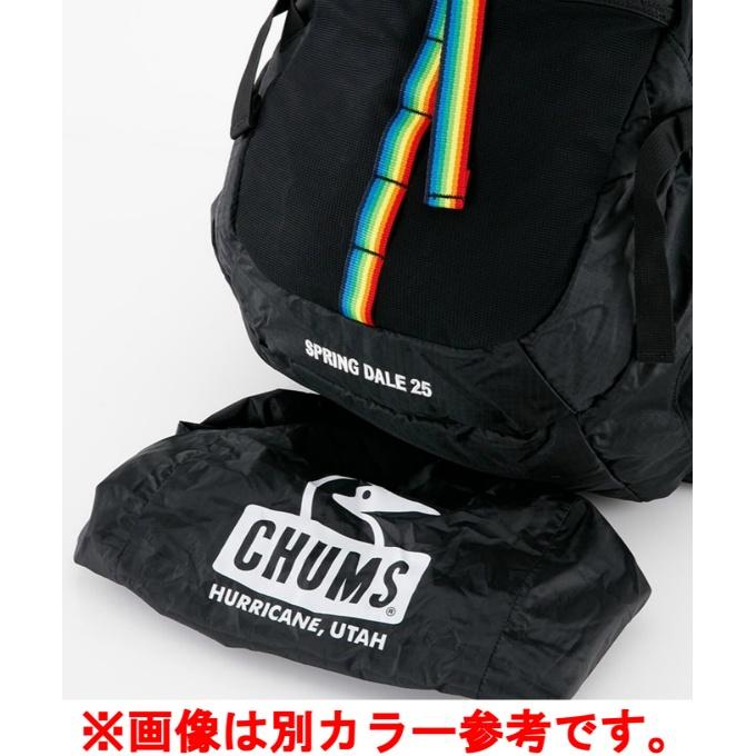 チャムス(CHUMS) バックパック メンズ レディース スプリングデール25 CH60-3997-GRAY/TURQUOISE_6