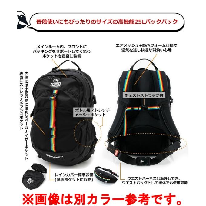 チャムス(CHUMS) バックパック メンズ レディース スプリングデール25 CH60-3997-GRAY/TURQUOISE_8