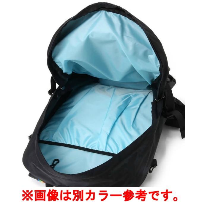 CHUMS（チャムス） バックパック メンズ レディース スプリングデール