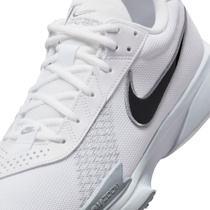 NIKE（ナイキ） バスケットシューズ メンズ レディース 25H エアZM GT