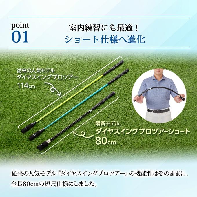 DAIYA（ダイヤ工業） ダイヤ(DAIYA) ゴルフ トレーニング用品 ダイヤ 