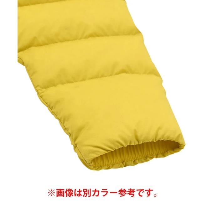 七宝蒔絵 棗 折ェ門造 北岡周治 茶道具 共箱