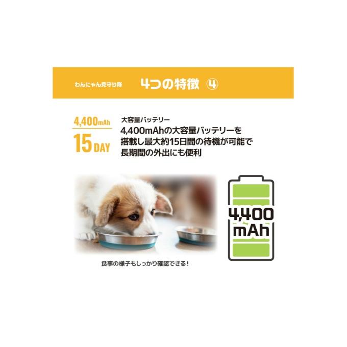 アンサー（Answer） カメラ わんにゃん見守り隊 ANS-1 【ご自宅配送