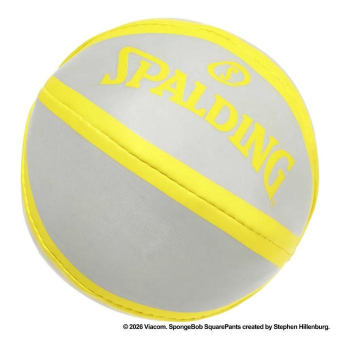 SPALDING（スポルディング） バスケットゴール 室内 マイクロミニ