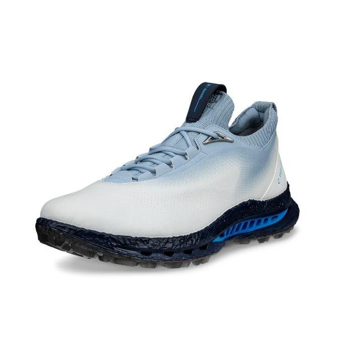 ecco（エコー） ゴルフシューズ スパイクレス メンズ BIOM C5 132604