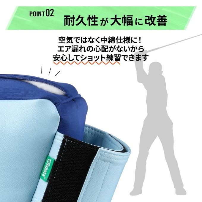 Tabata（タバタ） ゴルフ トレーニング用品 三角先生mini GV0378