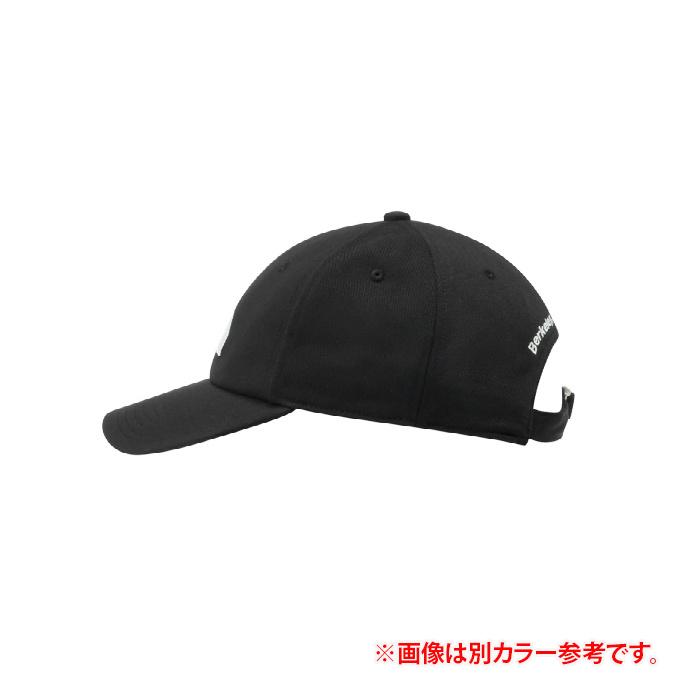 THE NORTH FACE（ザ ノースフェイス） 帽子 キャップ メンズ