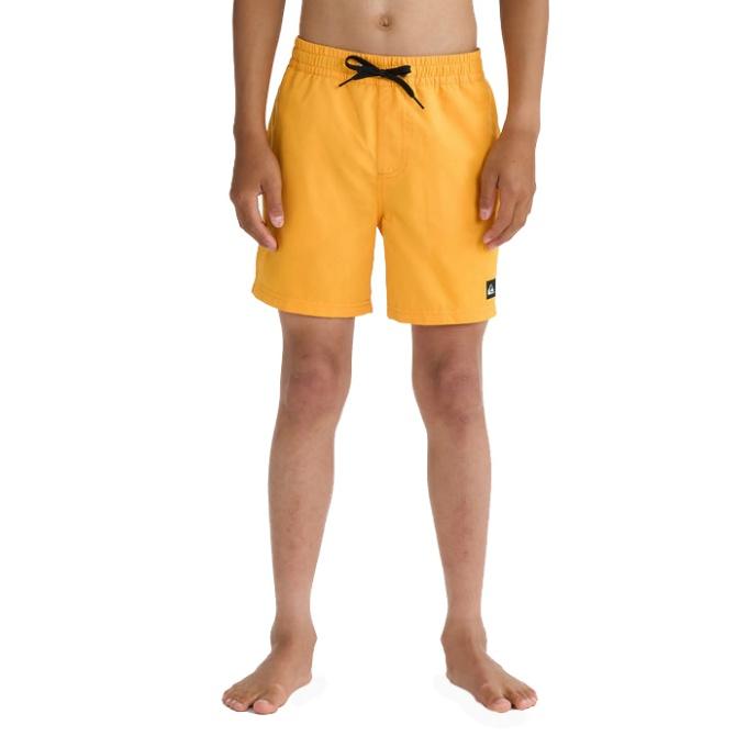 Quiksilver（クイックシルバー） サーフパンツ 男の子 ジュニア ユース