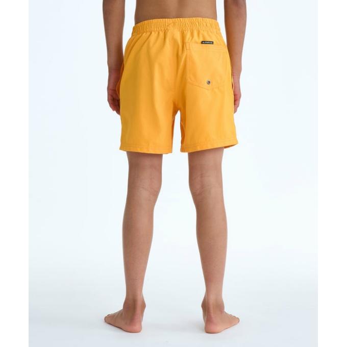 Quiksilver（クイックシルバー） サーフパンツ 男の子 ジュニア ユース