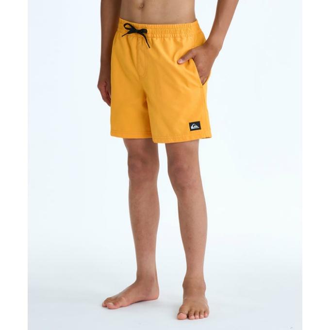 Quiksilver（クイックシルバー） サーフパンツ 男の子 ジュニア ユース