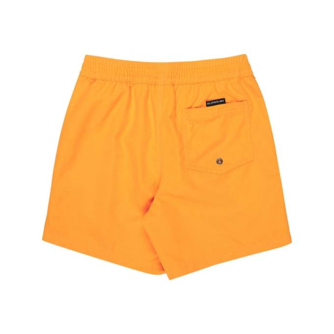 Quiksilver（クイックシルバー） サーフパンツ 男の子 ジュニア ユース