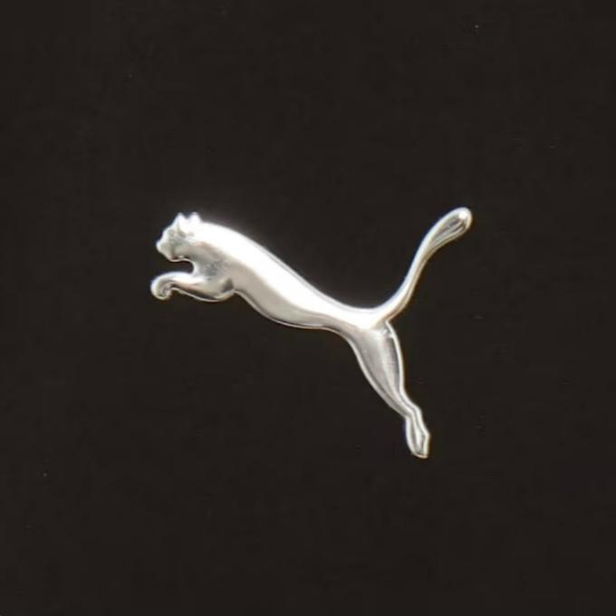 PUMA（プーマ） スポーツウェア クロスウェア 上下セット メンズ FLEX