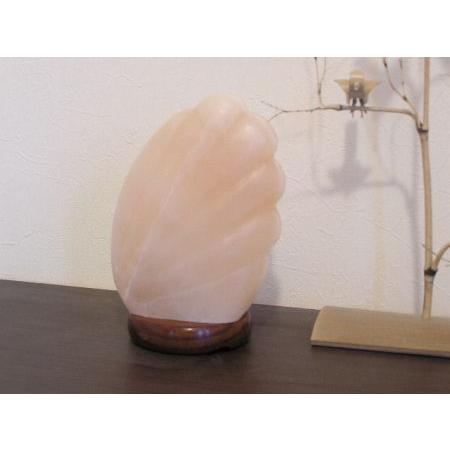 シェル岩塩ランプ : ヒマラヤ岩塩専門店 - 通販 - Yahoo!ショッピング