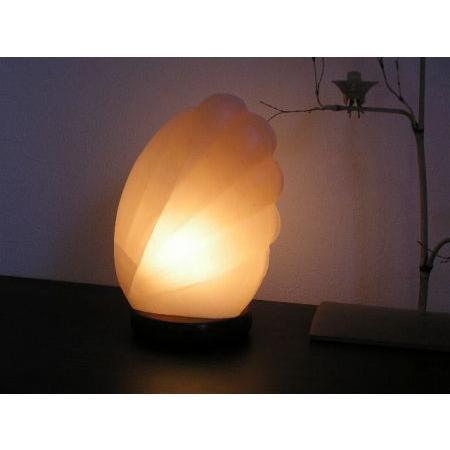 シェル岩塩ランプ : ヒマラヤ岩塩専門店 - 通販 - Yahoo!ショッピング