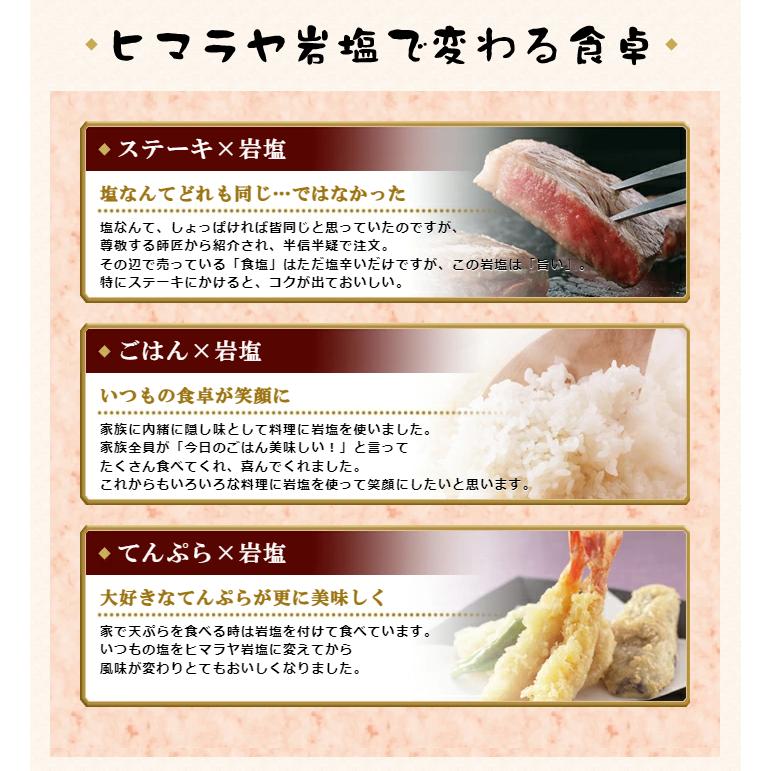 岩塩 ヒマラヤ岩塩 食用ピンク岩塩粉末タイプ 1kg 微粒子 細かい 塩 し