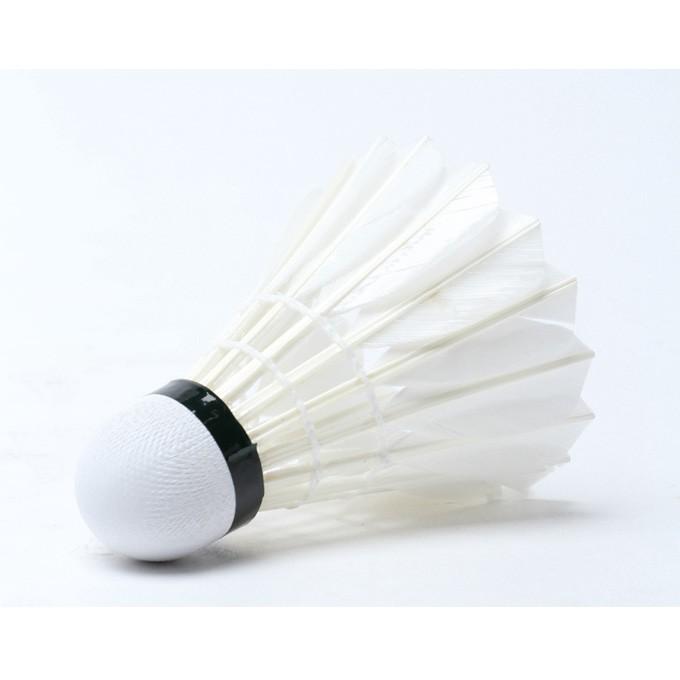 MIZUNO VISIONQUEST バドミントンラケット シャトル Japan