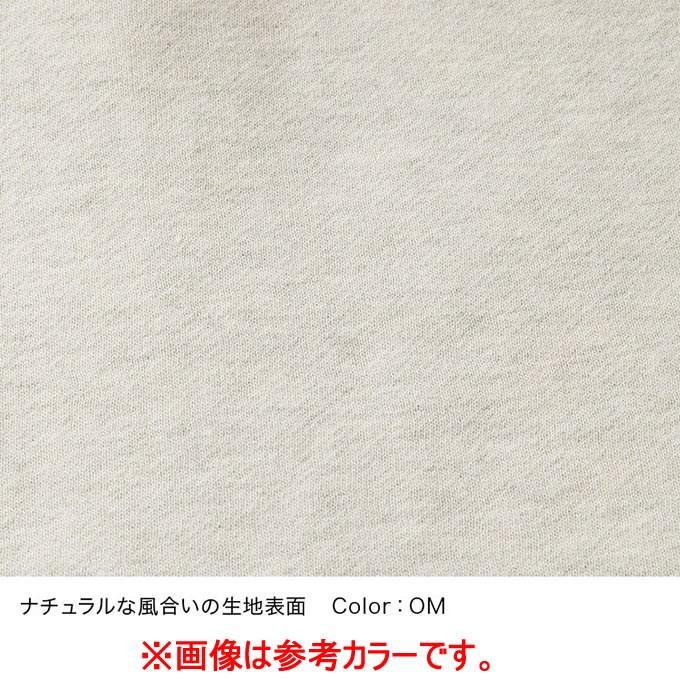 ノースフェイス スウェットパーカー レディース Rearview FullZip