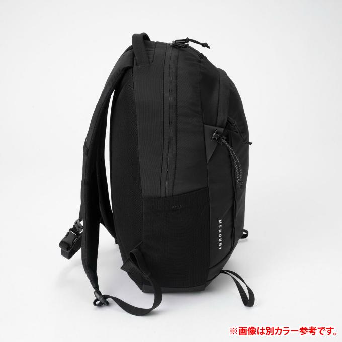 THE NORTH FACE ノースフェイス バックパック メンズ レディース