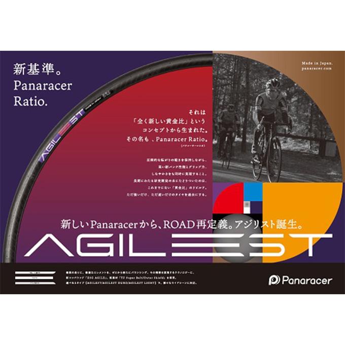 Panaracer（パナレーサー） AGILEST アジリスト 黒／黒 F700×30C 2本