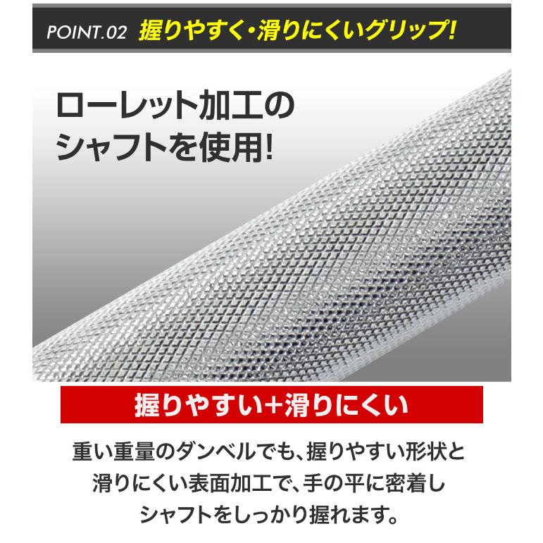 VISION QUEST ビジョンクエスト ダンベル Wバー シャフト