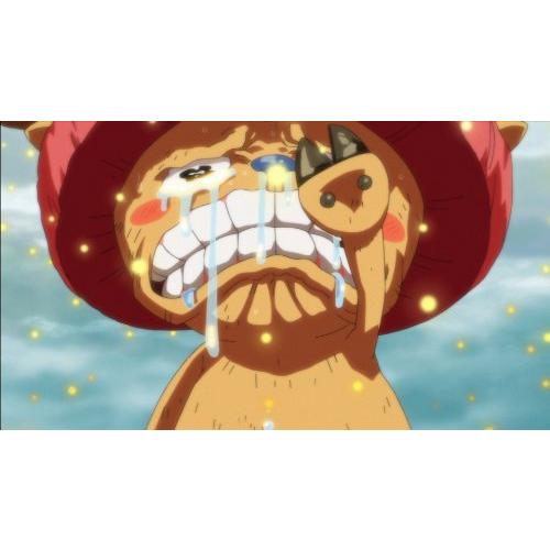 ワンピース エピソード オブ メリー もうひとりの仲間の物語 Cd 初回生産限定版 Blu Ray Hme11ceb53aa ひまりらいふ 通販 Yahoo ショッピング