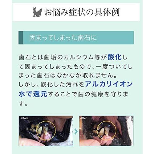 犬猫の歯みがき 口臭対策に 歯石 歯周病 歯槽膿漏にも プロバイオミスト 犬猫用80mlスプレー 嫌がる時は フードや飲み水へも可