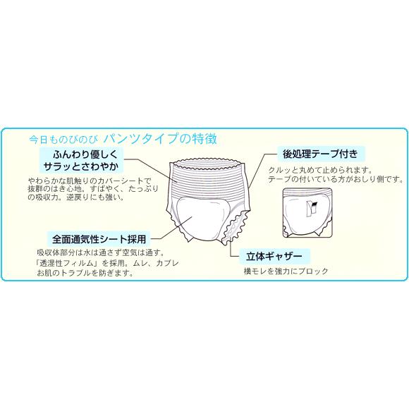 ネピアテンダー 大人用紙おむつ あんしんフィットパンツ Mサイズ