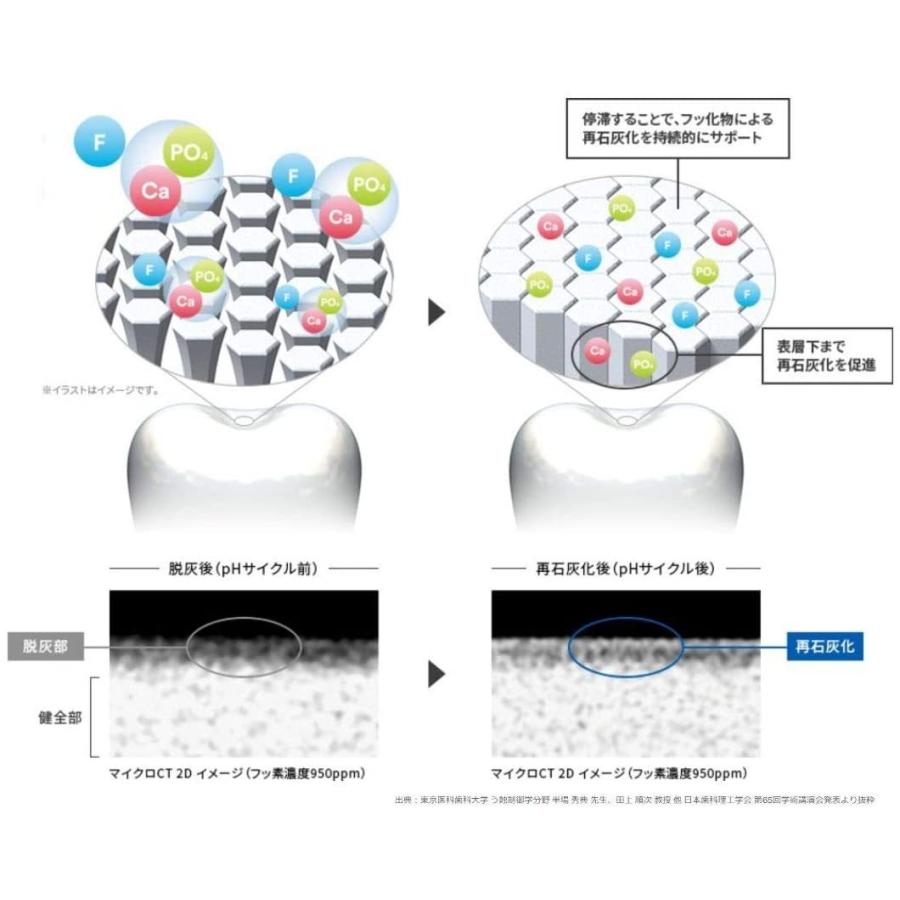 3M クリンプロ 歯みがきペースト F1450 90g 単品 ソフトミント シトラスミント｜himawari-market｜05